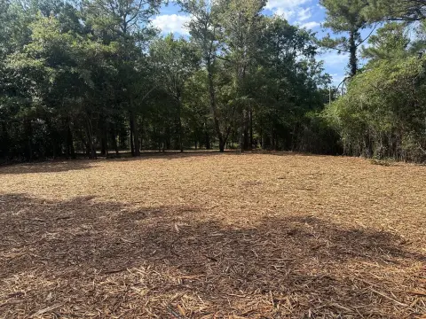 Cleared Office-Use Commercial Land