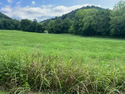 93.92 Acres Vacant Land