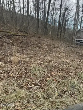 Kingsport Land Parcel For Sale