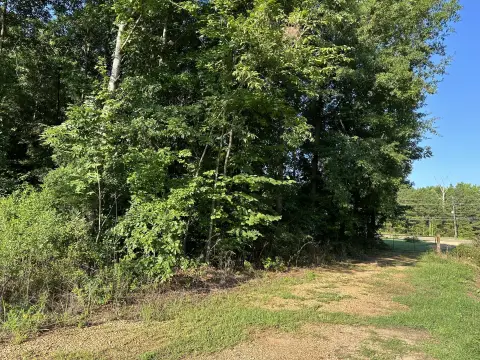Wooded Lot in Columbus, MS