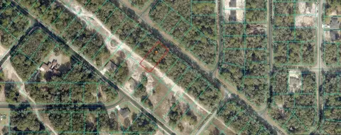 Spacious Homesite in Ocala, FL