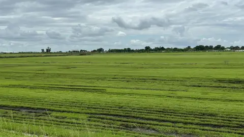 Belle Glade Commercial Land For Sale