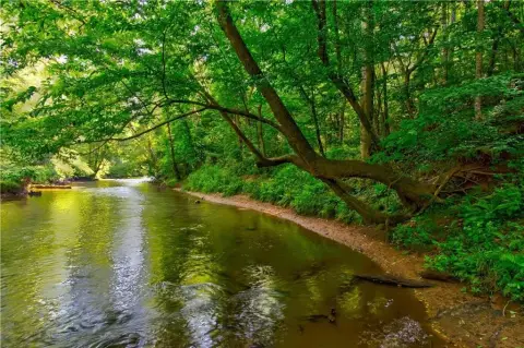Etowah River Frontage Land