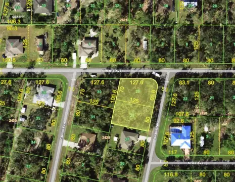 Double Lot in Port Charlotte