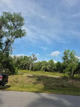 Residential Land in Webster, FL