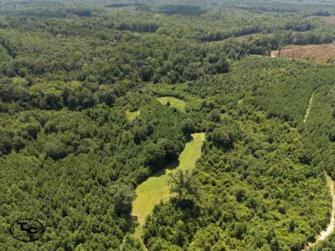 Hunting Land with Camp House