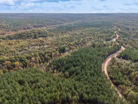 Wooded Residential Land Tract