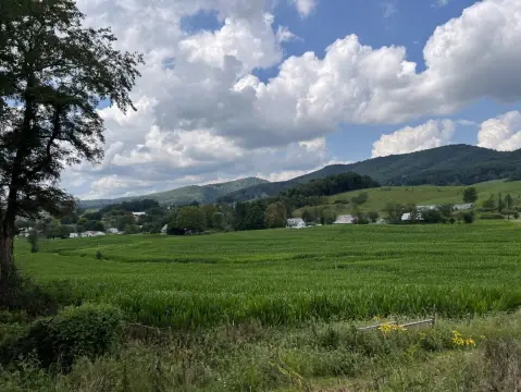 50.41 Acres Vacant Land