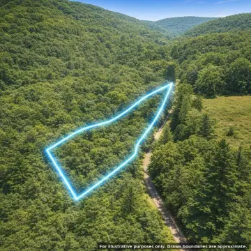 Hunting Land with Stand