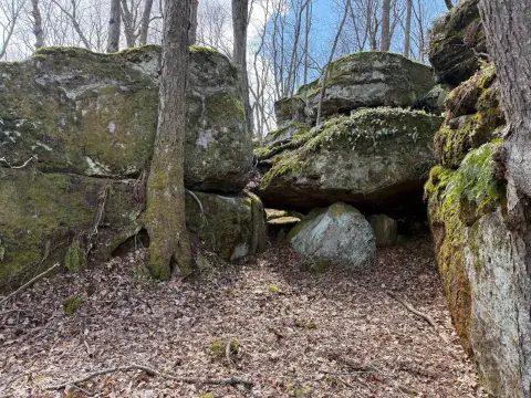 Secluded Land Overlooking Allegheny Valley