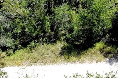 Williston, FL 0.31-Acre Lot