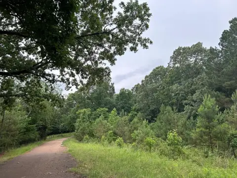 28 Acres of Mississippi Woodland