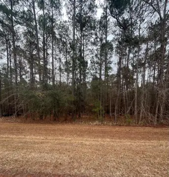 Tallahassee Land with Conservation Easement