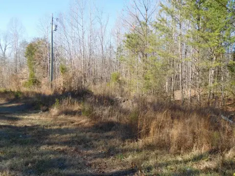 Unrestricted Land in Cherokee County