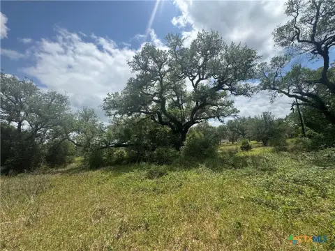 Residential Land in Inez, TX