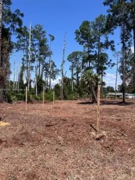 Residential Lot in Lehigh Acres