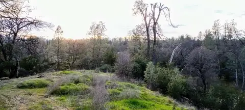 Cottonwood Land with Scenic Views