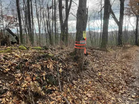 Crawford, WV Farm with Acreage