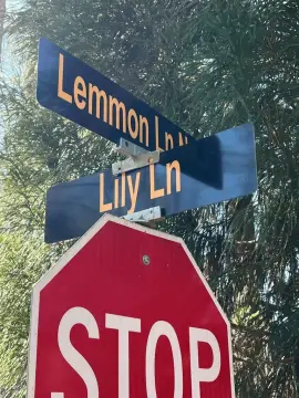 Resort Land with Paved Access