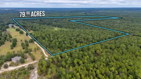 Recreational Wooded Land Tract