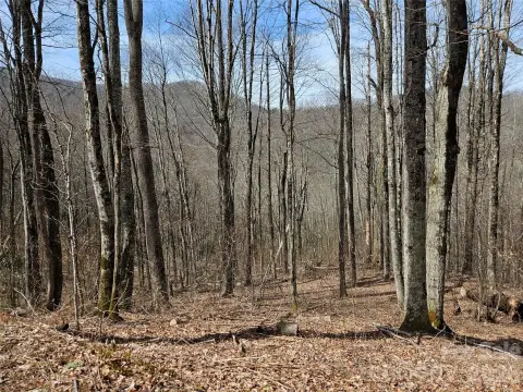 Waynesville Land Near National Park
