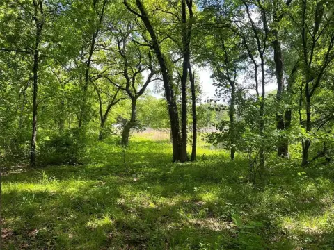 Wooded Acreage Near Alvarado Lake