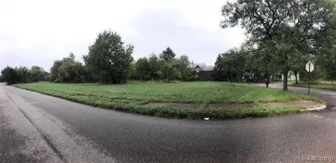 Vacant Land in Poletown East