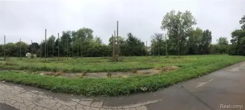 Detroit Vacant Land Opportunity