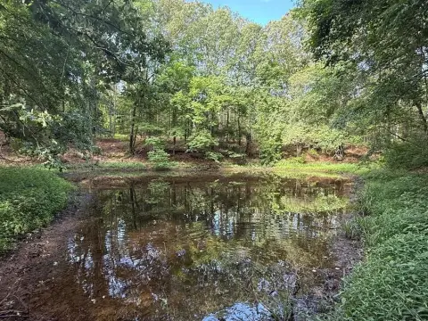 75 Acres Hunting Land in Sardis