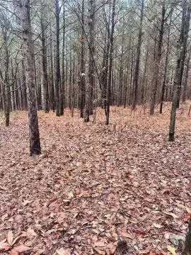 Unrestricted Land in Broken Bow