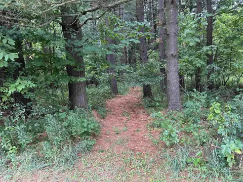 Potsdam Land: Build Your Dream