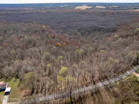 Lavinia, TN Timberland Tract
