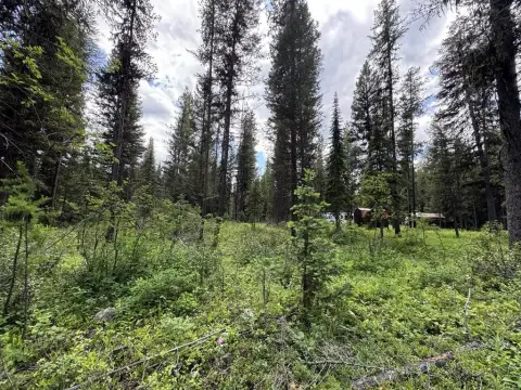 Land by Whale Creek, Montana