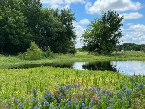 50 Acres Near Lake Tawakoni