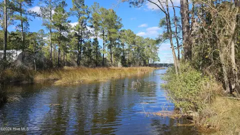 Waterfront Lot in Belhaven, NC