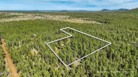 Lakeside Acreage with Forest Access