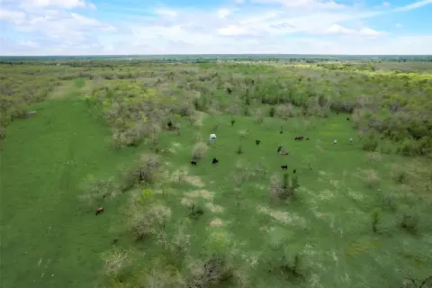 Rural Hunting and Farmland Tract