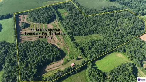 Wooded Hunting Land With Cabin
