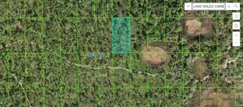 Unimproved Land in Lake Wales