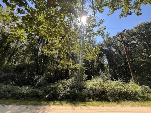 Wooded Lot Near Welch Lake