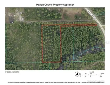 Pine Timberland and Creek Adjoining Acreage