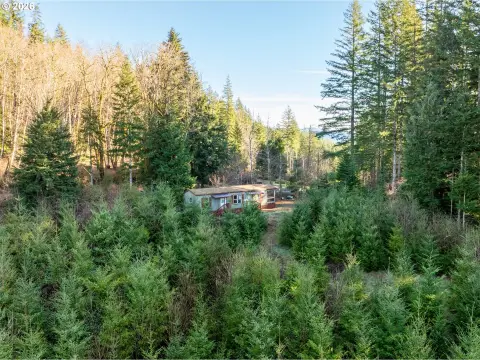 Amboy, WA Land with Infrastructure