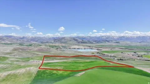 Agricultural Land with Crop Production