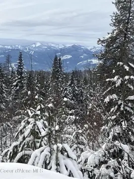 Recreation Land with Timber