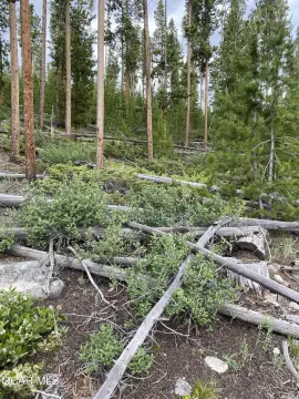 Land with Drilled Well