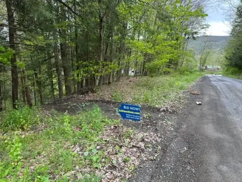 Vacant Land in Butternuts, NY
