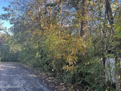 Residential Land in Knoxville, TN