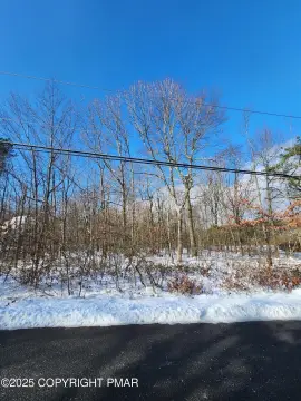 Wooded Lot in Penn Forest