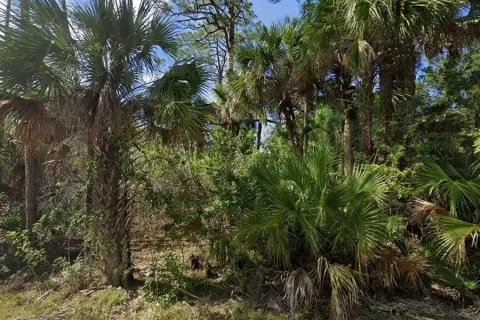 Residential Land in Palm Bay