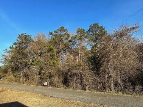 Waterfront Lot on Lake Blalock